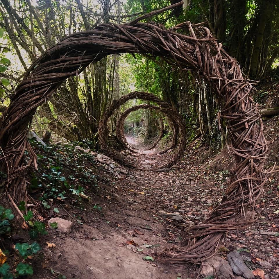 A woodland trail passing through woven natural arches